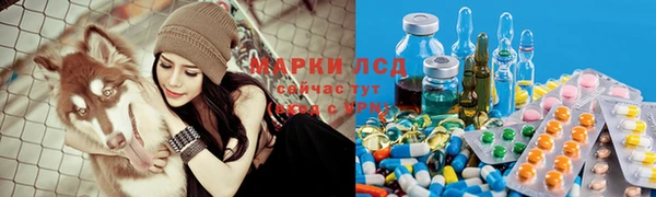 PSILOCYBIN Волоколамск