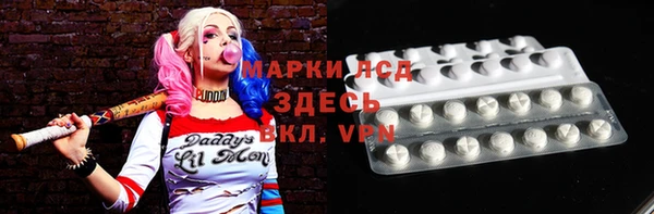 сатива Верея