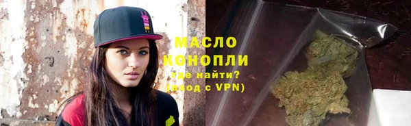сатива Верея