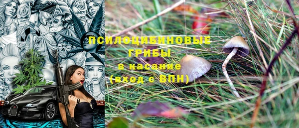 PSILOCYBIN Волоколамск