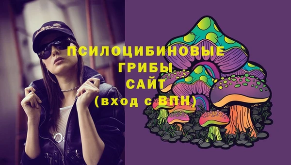 PSILOCYBIN Волоколамск