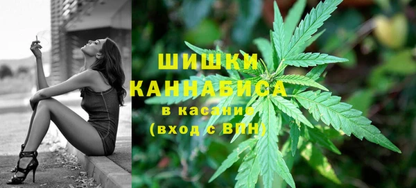 сатива Верея