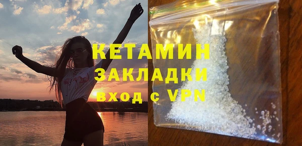 сатива Верея