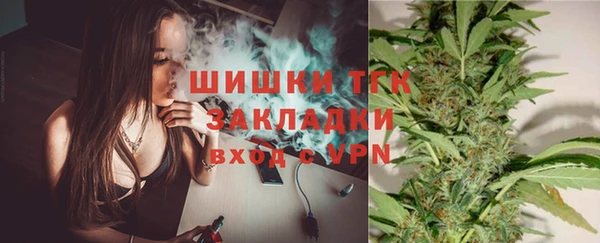 сатива Верея